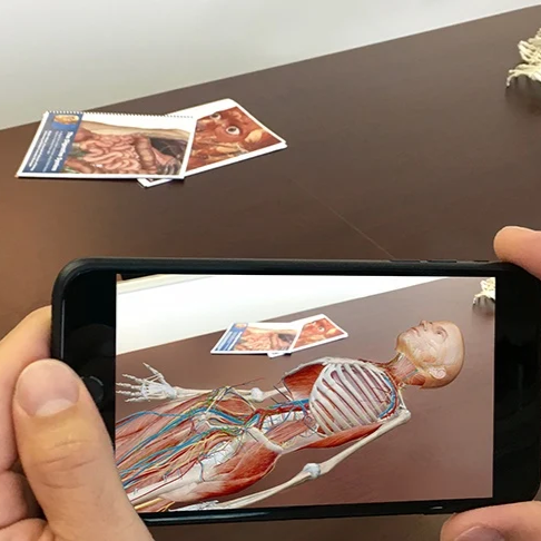 An augmented reality anatomy model revealed through a mobile device