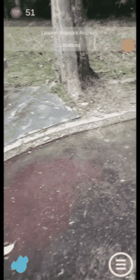 Several virtual flowers blooming after an augmented reality plant-growing cycle